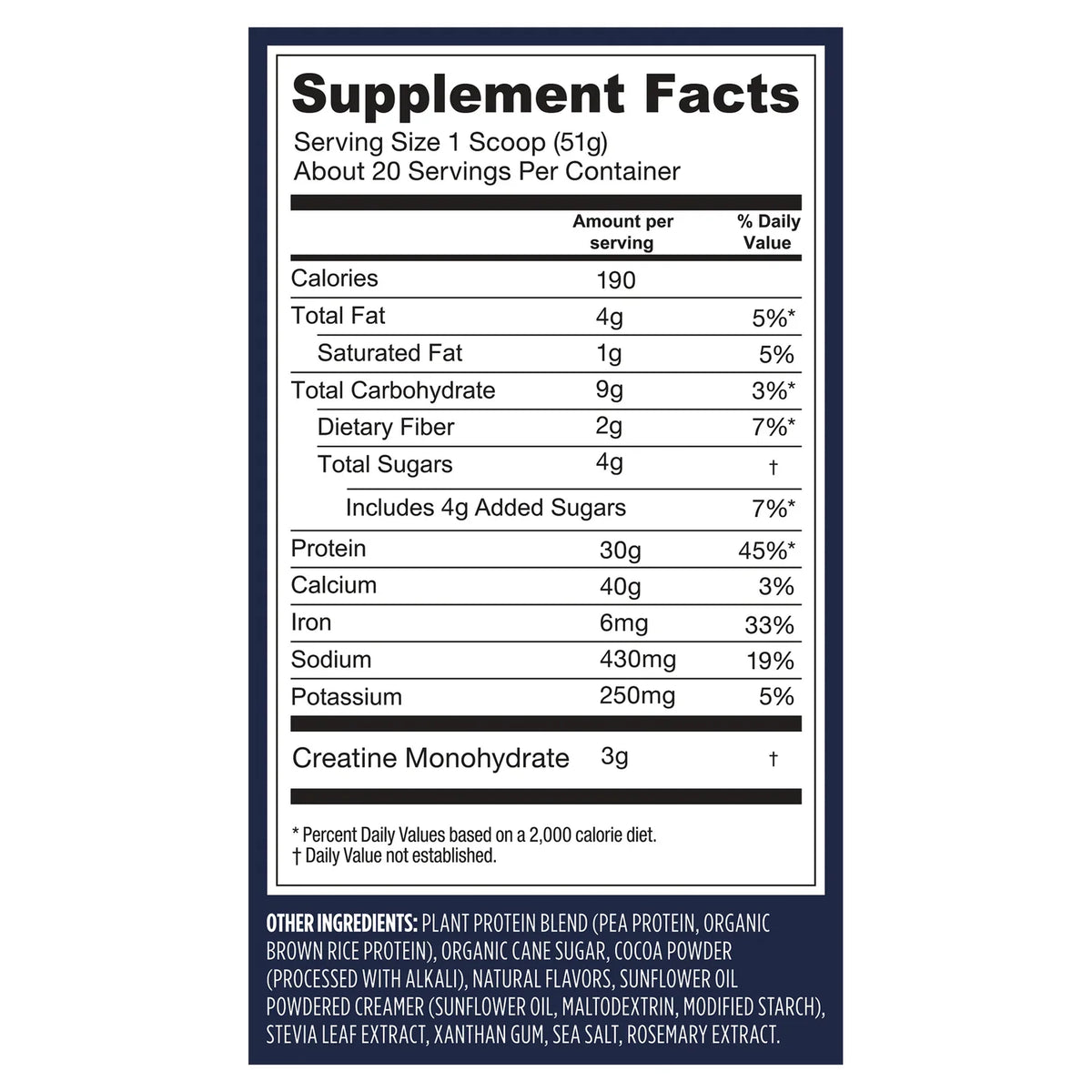 Protein + Creatine - Creamy Chocolate