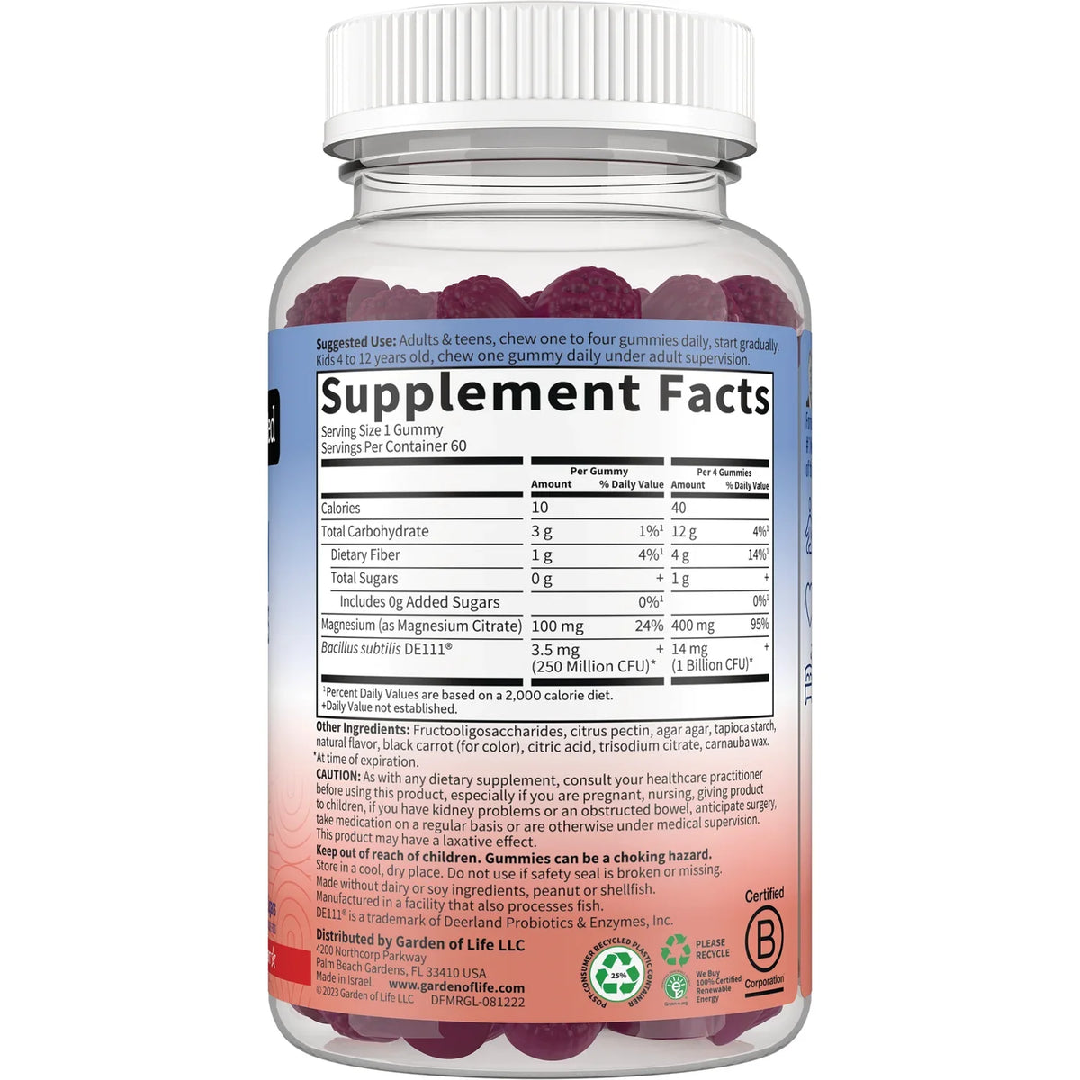 Magnesium with Pre & Probiotics Gummies - Raspberry