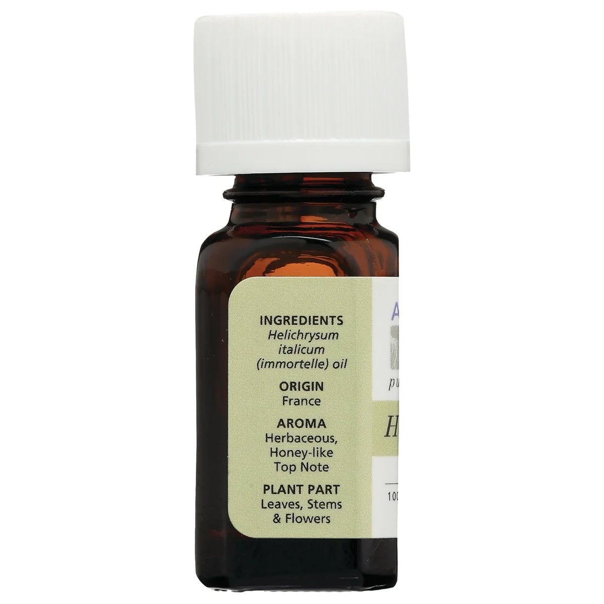 Helichrysum