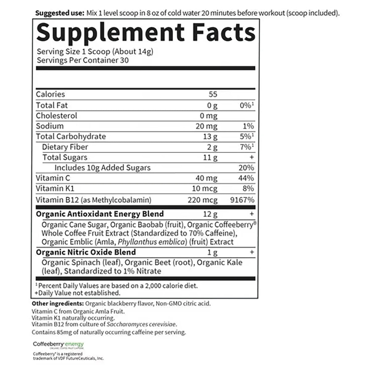 Organic Plant-Based Energy + Focus - Blackberry
