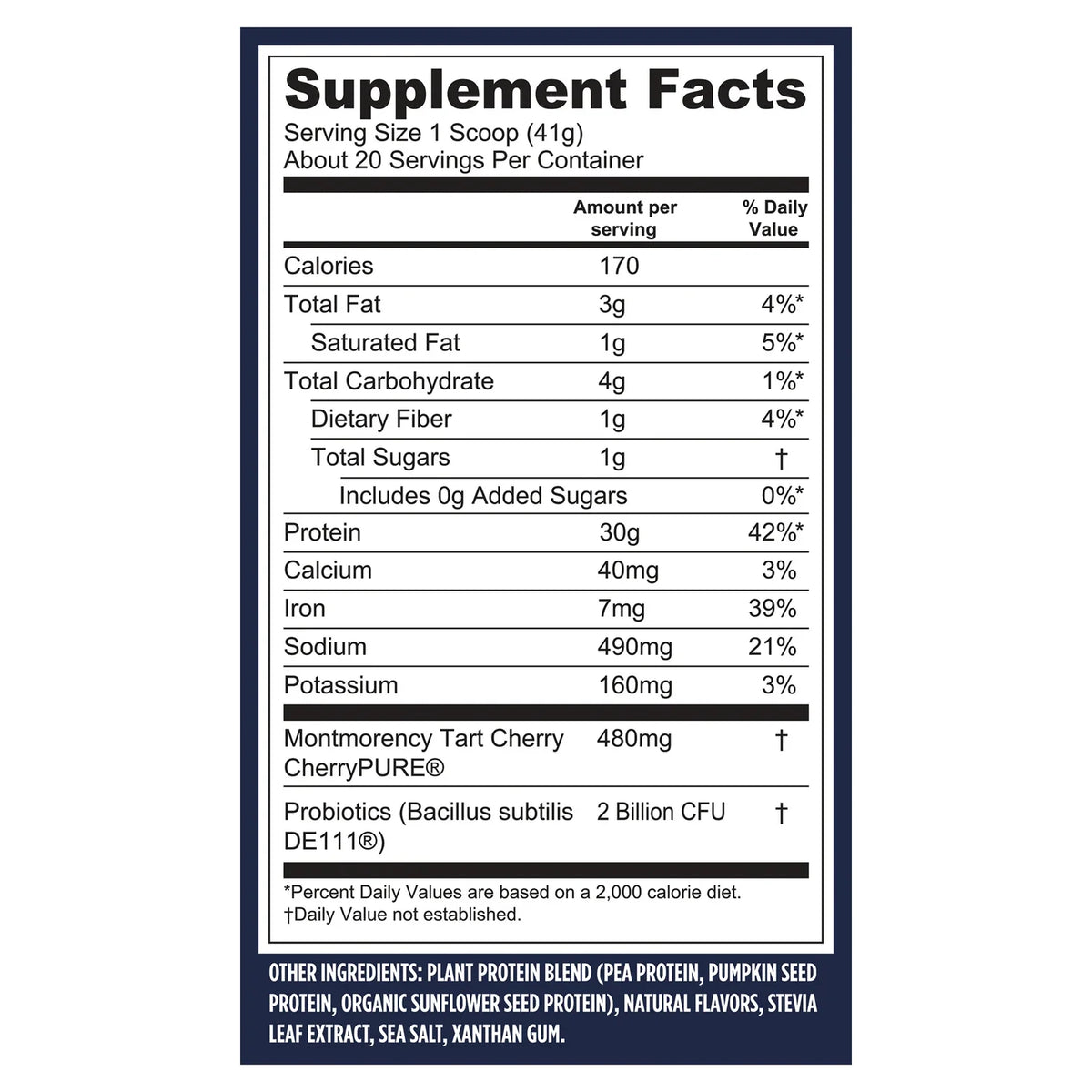 Protein + Recovery - Creamy Vanilla